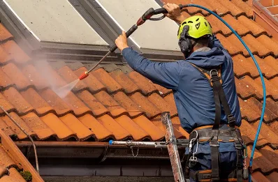 Démoussage et hydrofuge de toiture à Godewaersvelde